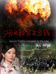 国产午夜成人无码免费看